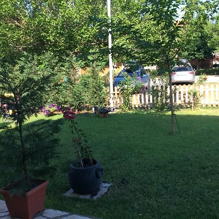 Paradise Blue Paradisos