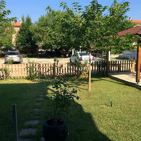 Paradise Blue * Paradisos