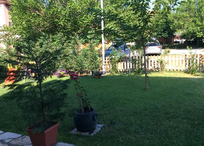 Paradise Blue 帕拉迪索