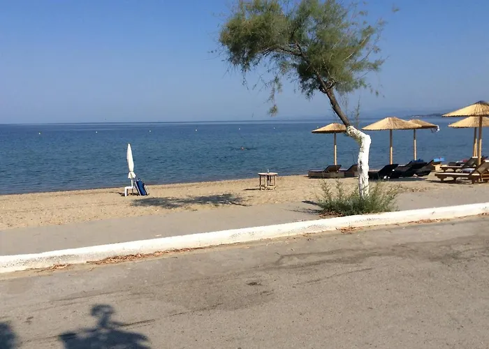 Paradise Blue *